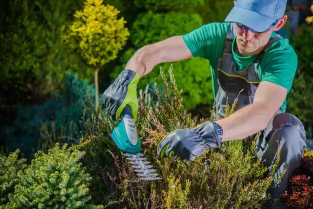 landscaping services Kosciusko